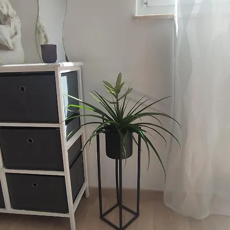 Apartamento Roza Zadar