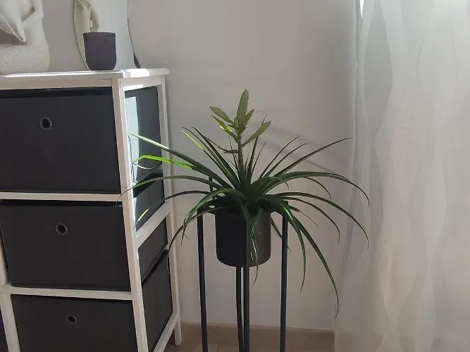 Lägenhet Roza Zadar